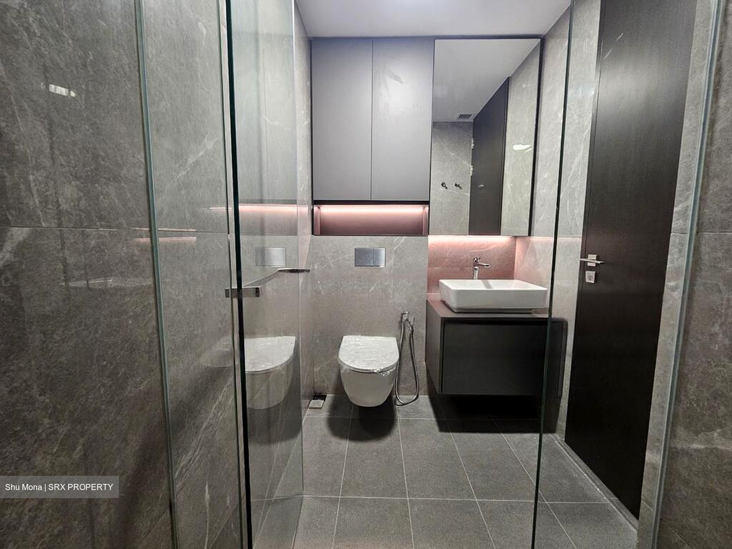 Irwell Hill Residences (D9), Apartment #575835881